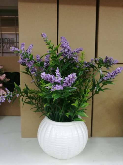 simulation flower plastic plastic flower potted plants R40 EACH IF YOU BUY 10 UNITS